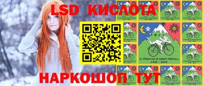 a pvp Краснодар