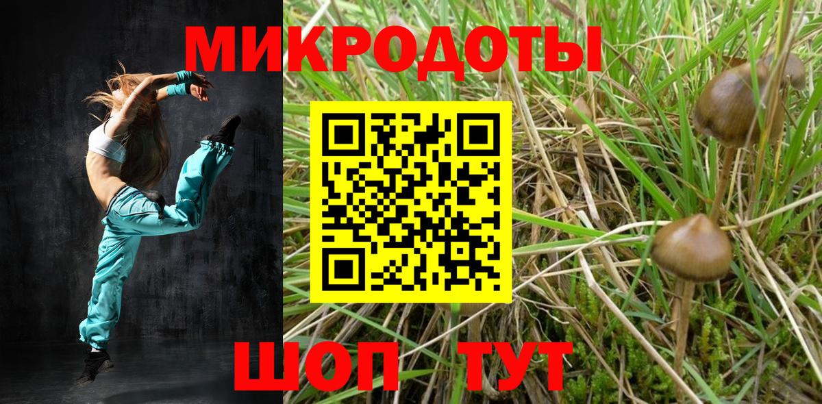 Псилоцибиновые грибы прущие грибы Ярославль