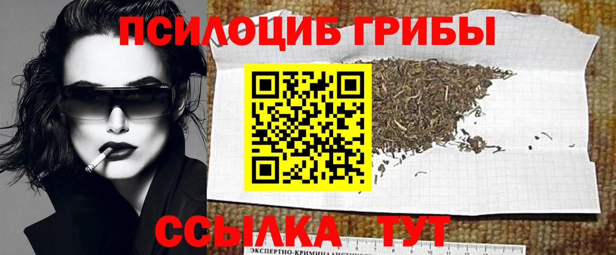 Псилоцибиновые грибы GOLDEN TEACHER  Вход с VPN  Галлюциногенные грибы Cubensis  Ярославль 